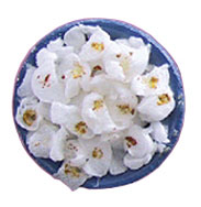 Dollhouse Miniature Popcorn In Bowl